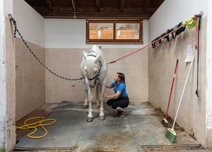 trentino-by-horse_-16