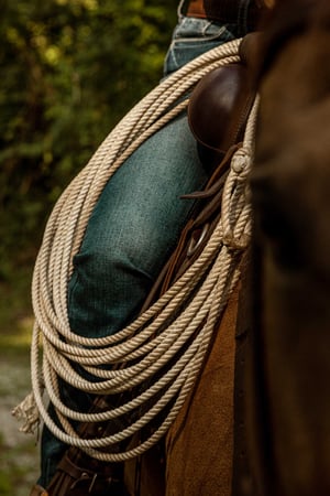 trentino-by-horse_-29