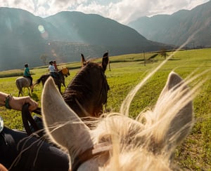 trentino-by-horse_-61